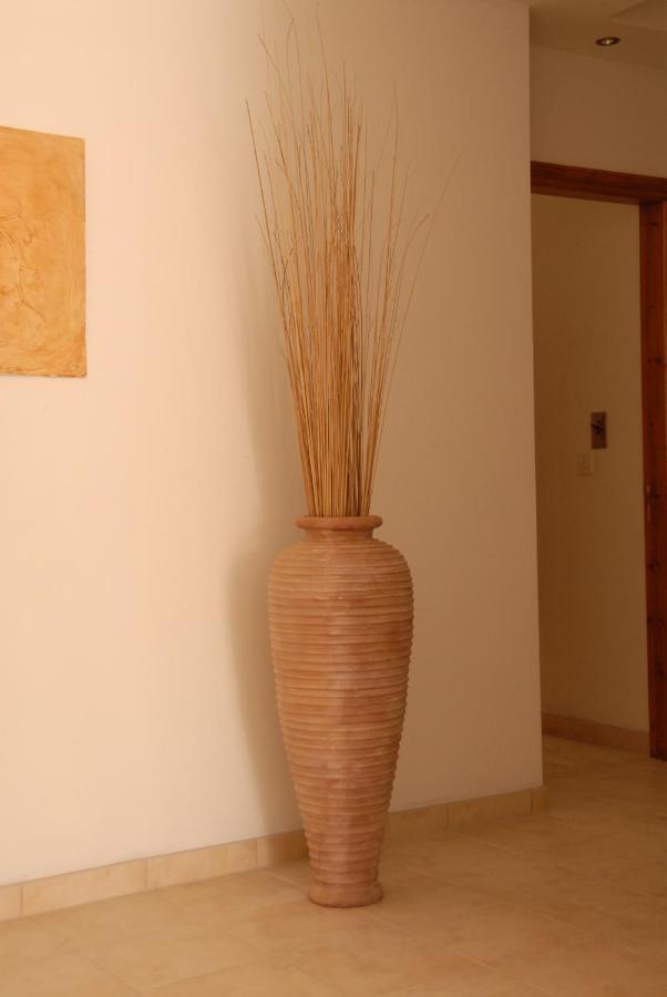 Vengera Galáta